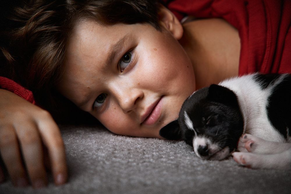 Фотография автора Вострецов Иван