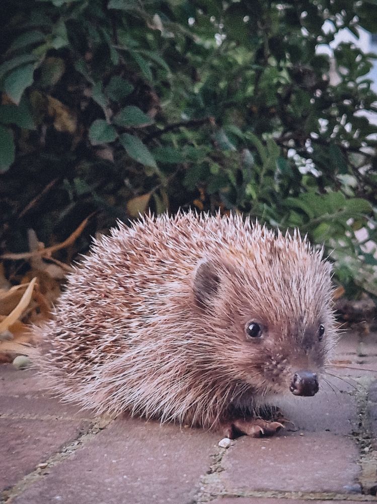 Photograph by Liudmila Kirillova