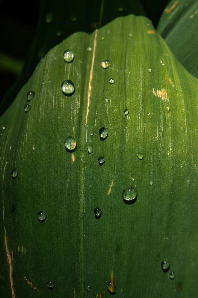 Photograph by Дудников Александр