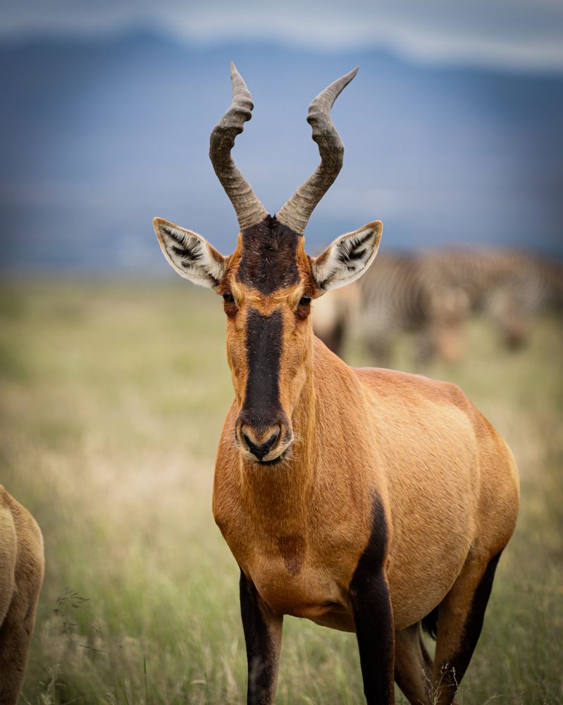 Photograph by Nadine Leonard