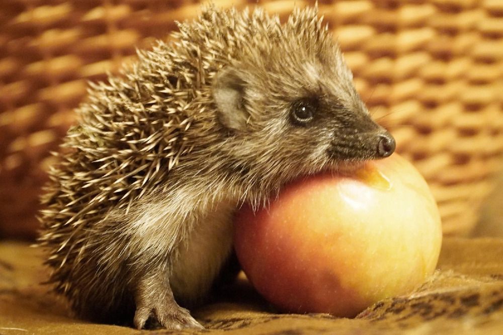 Photograph by Марина Безенкина