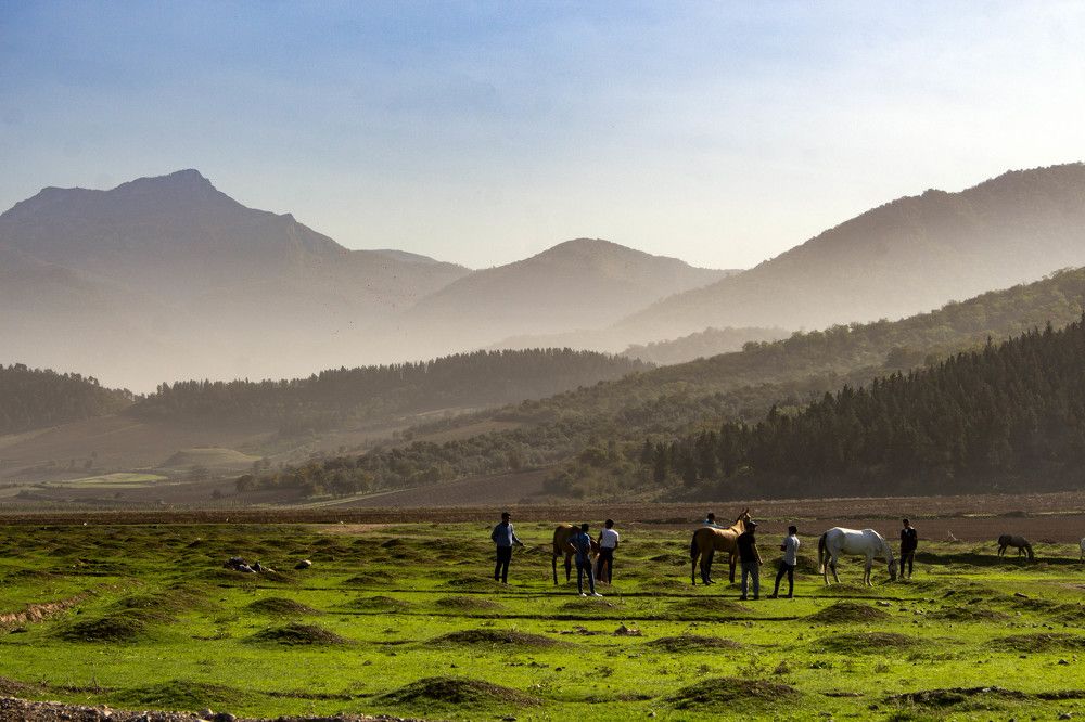 Photograph by Reza Zanganeh