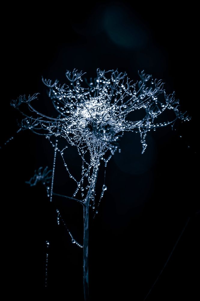 Photograph by Сергей Кочетов