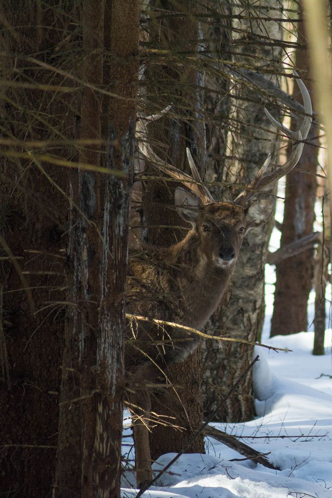 Photograph by Семина Ольга