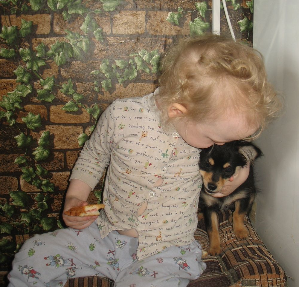 Photograph by Анастасия Бородина