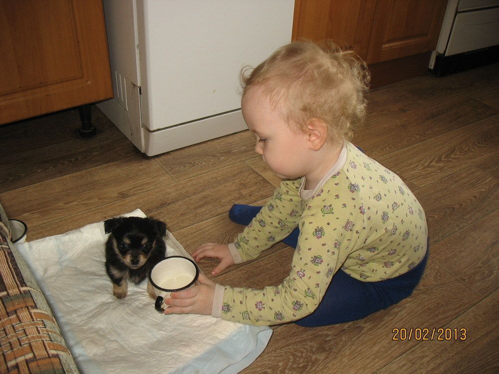 Photograph by Анастасия Бородина