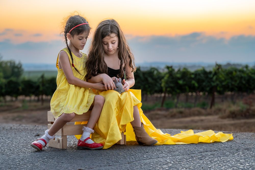 Photograph by esti lahat