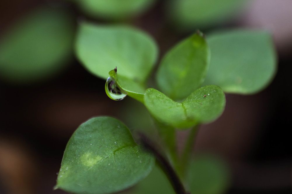 Photograph by Reza Zanganeh