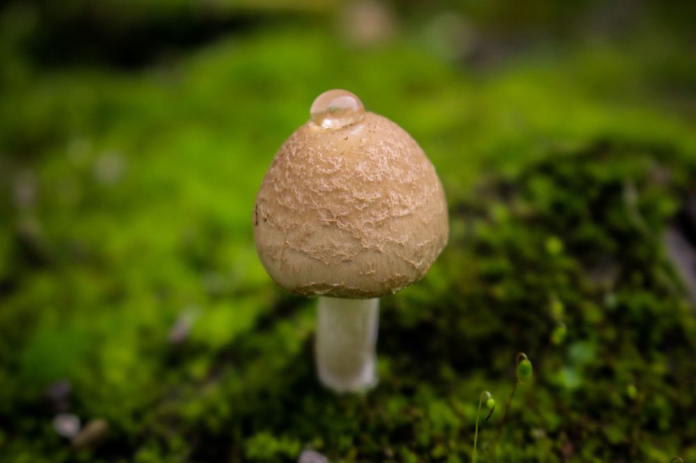 Photograph by Reza Zanganeh