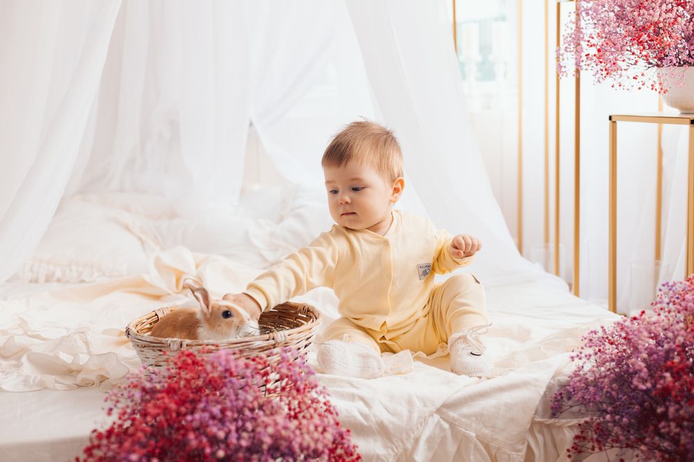 Photograph by Светлана Подгайская