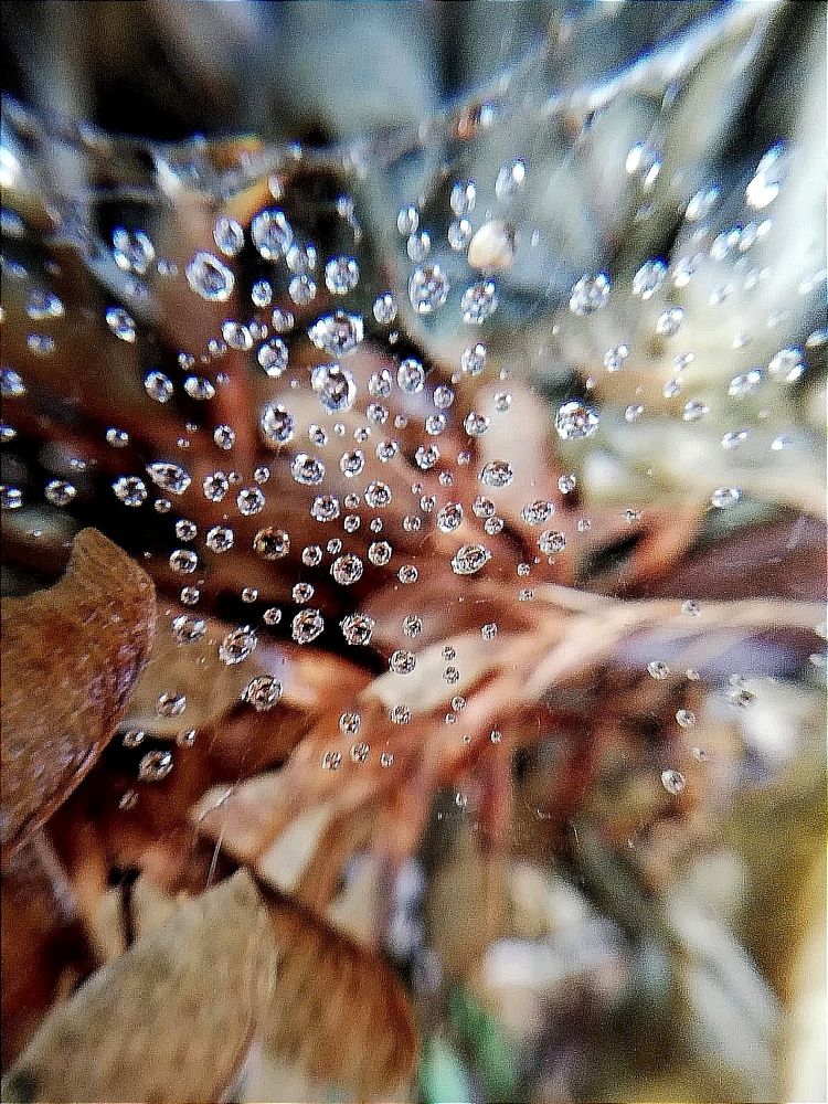 Photograph by Galina Novichkova