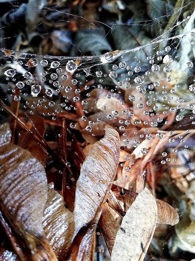 Photograph by Galina Novichkova