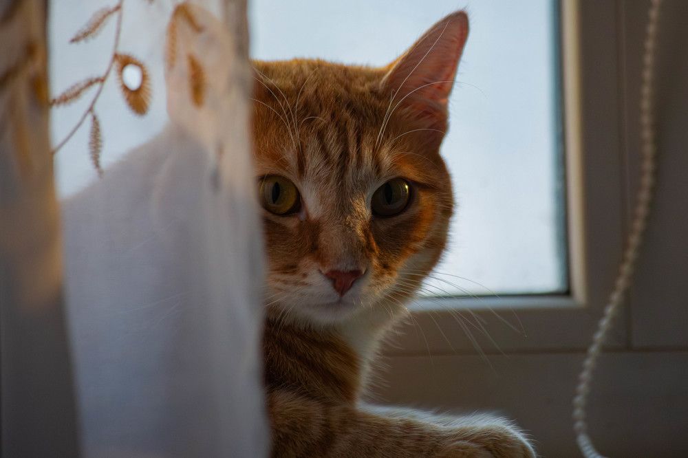 Photograph by Евгений Авдеев