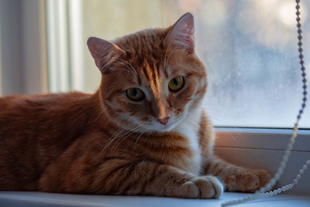 Photograph by Евгений Авдеев