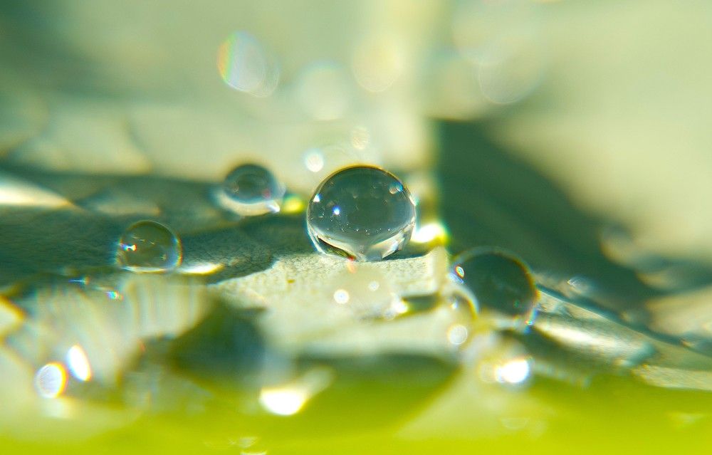 Photograph by Zakharov Matvey