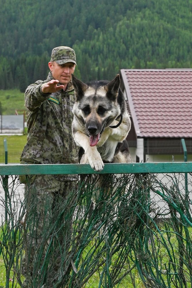 Карагай, Республика Алтай