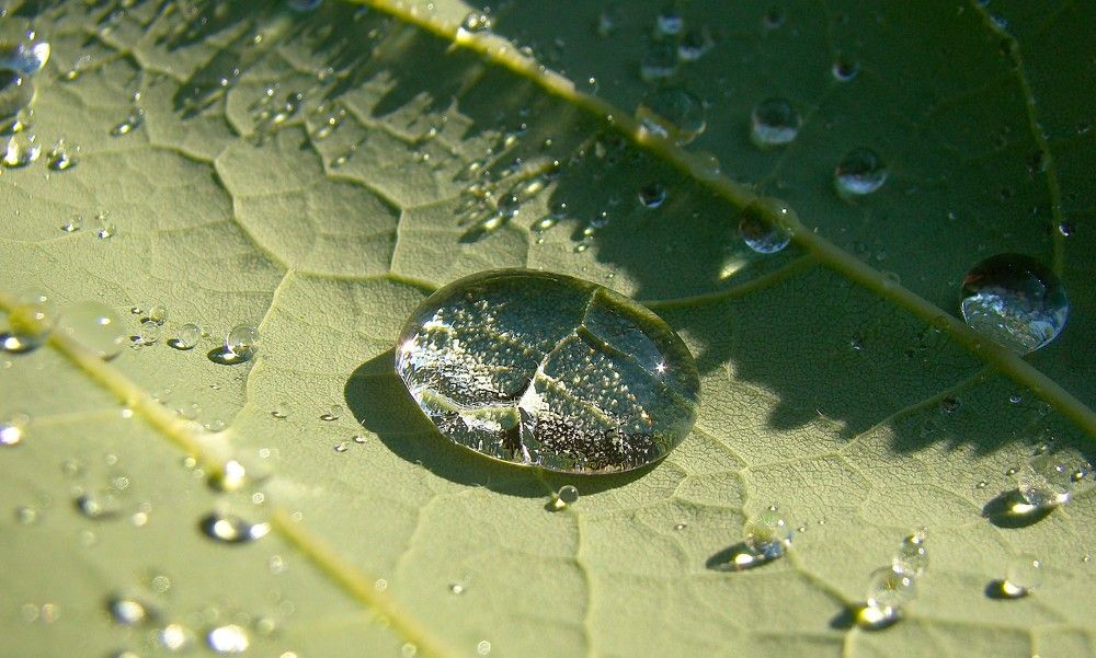 Photograph by Zakharov Matvey