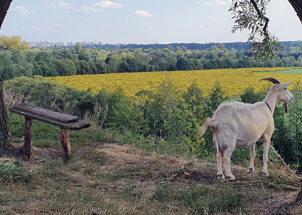 Photograph by Денис Пароменский