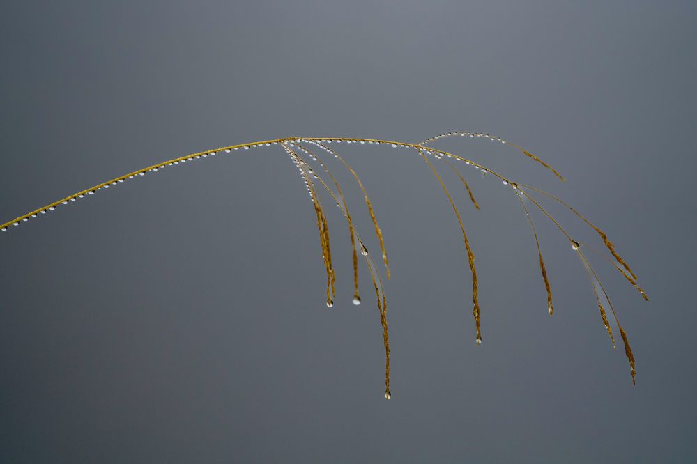 Фотография автора Viktoriya Kim