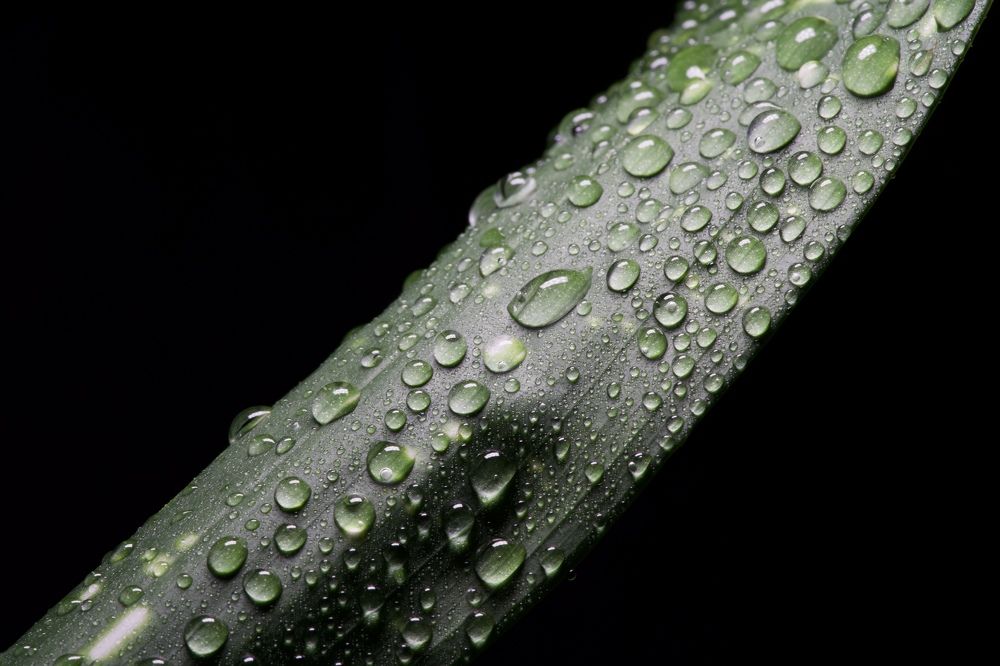 Фотография автора Viktoriya Kim