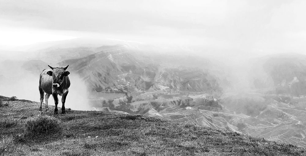 Photograph by Денис Пароменский