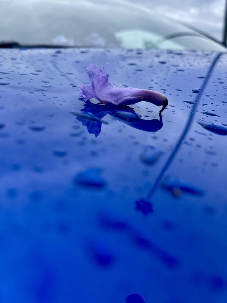 Photograph by Юлия Максютенко