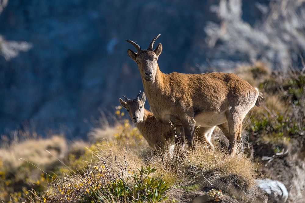 Photograph by Хасан Журтов