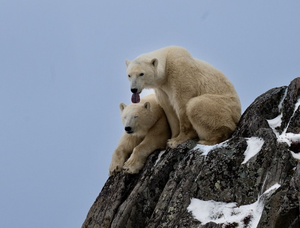 Photograph by Владимир Цветов