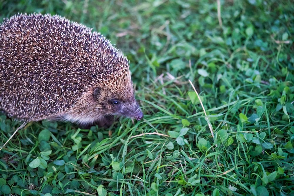 Фотография автора Viktoriya Kim