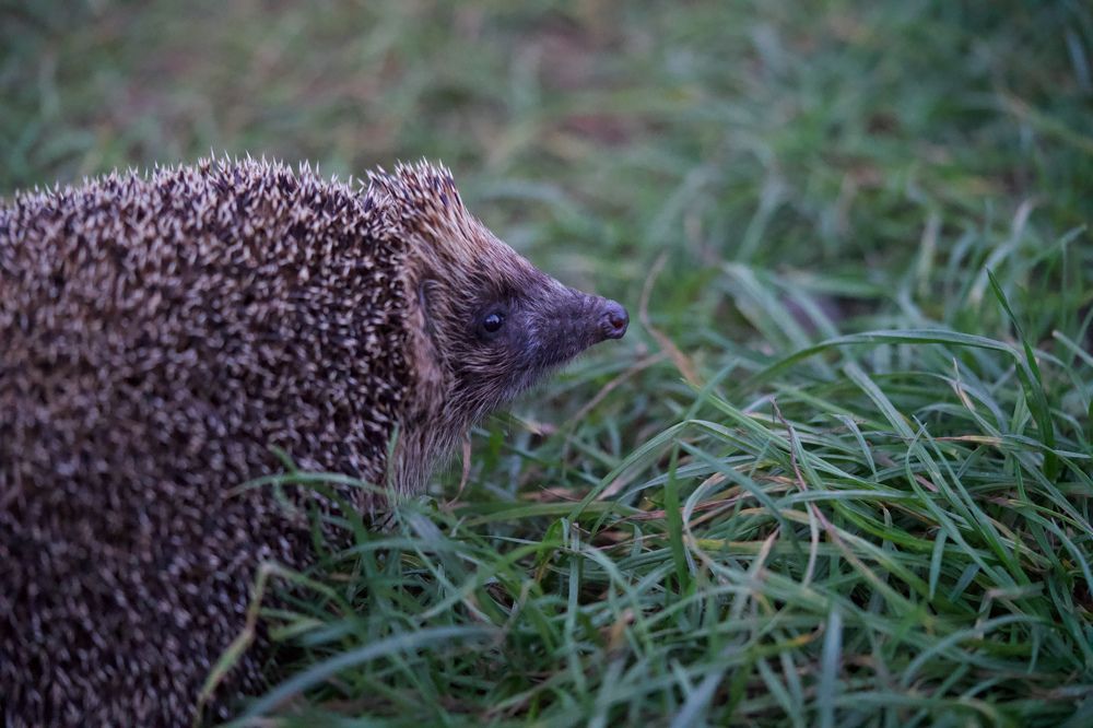 Фотография автора Viktoriya Kim