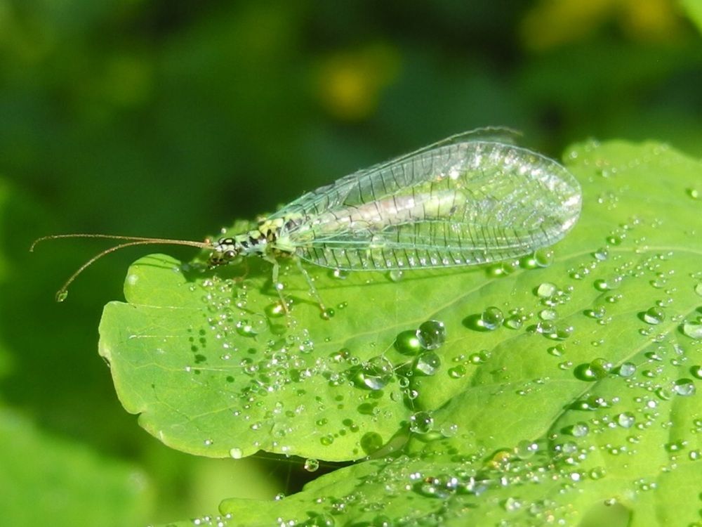 Photograph by Андрей Головин