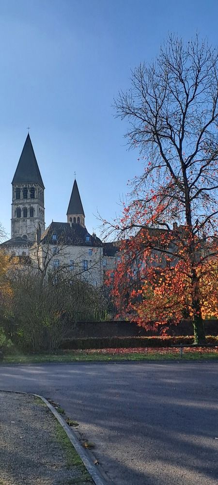 Autumn colors shine near the castle
