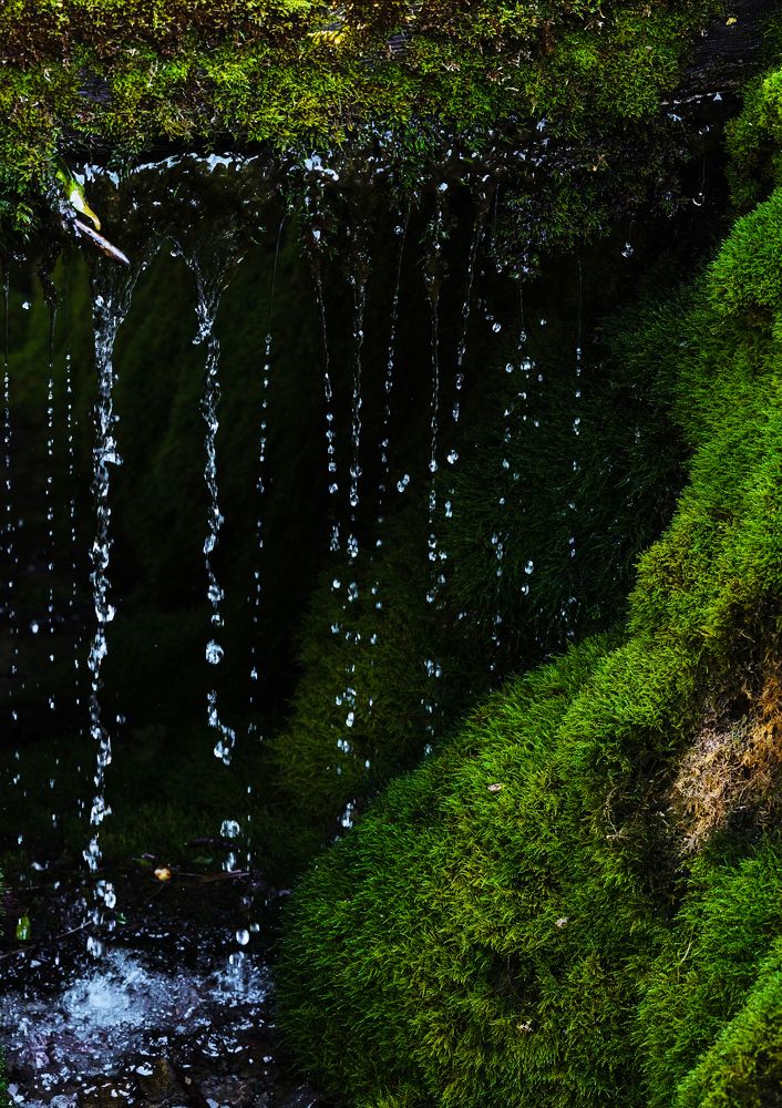 Photograph by Анна Бокова