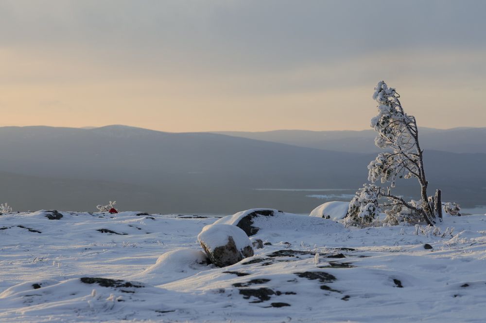 Photograph by Юлия Яковлева
