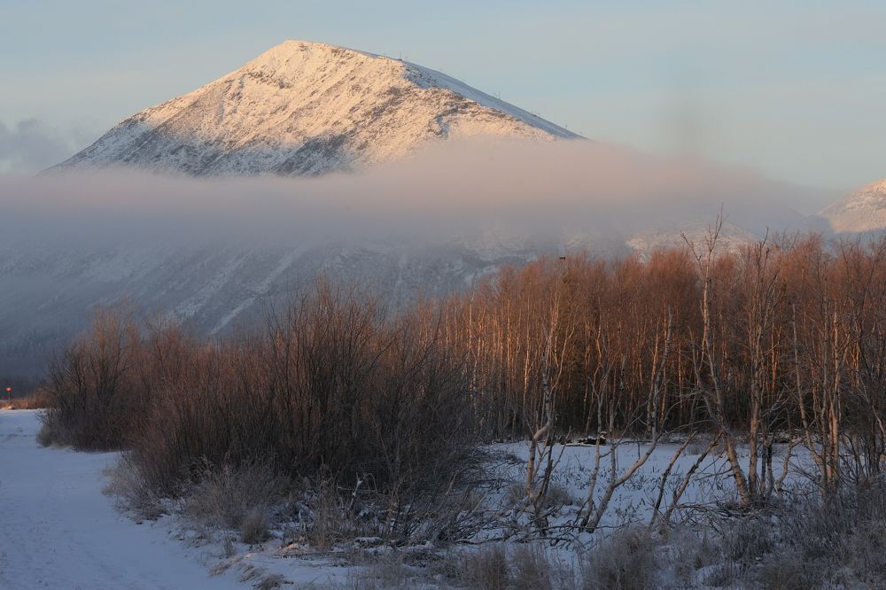 Photograph by Юлия Яковлева