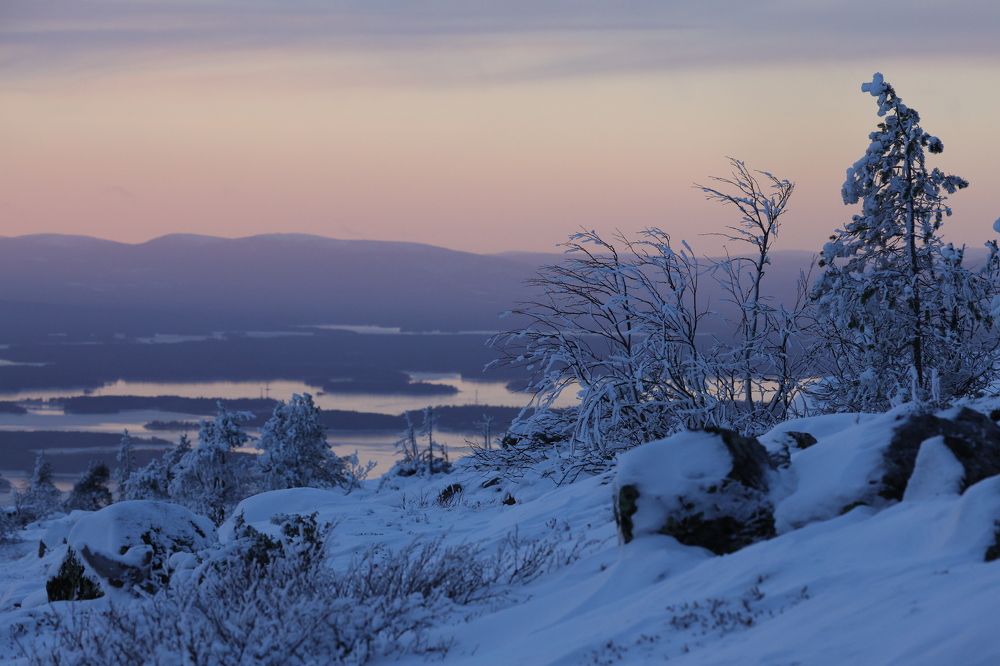Photograph by Юлия Яковлева
