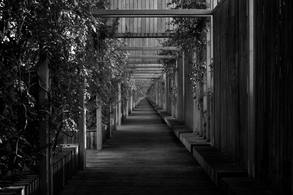 Photograph by Алëна Тополян