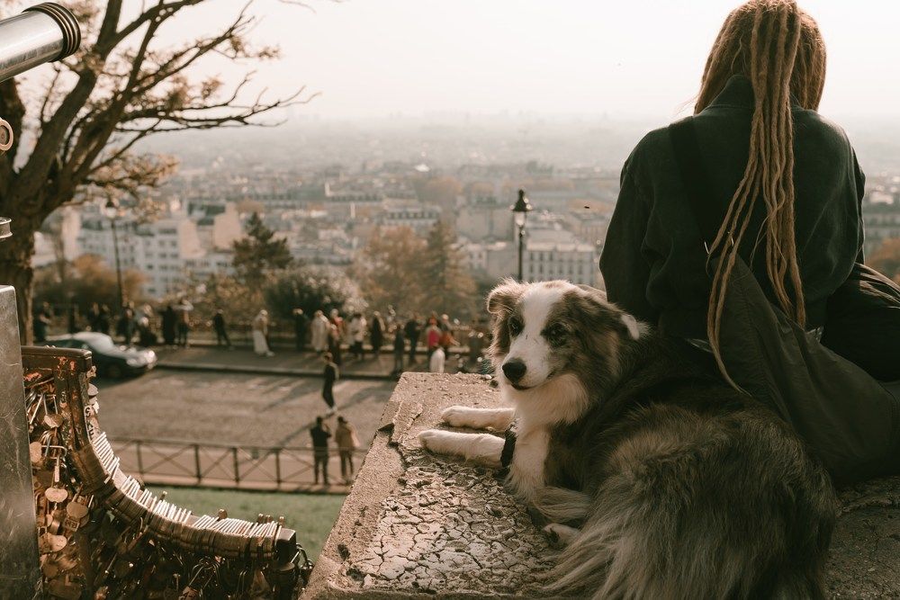 Photograph by Ольга Леонова