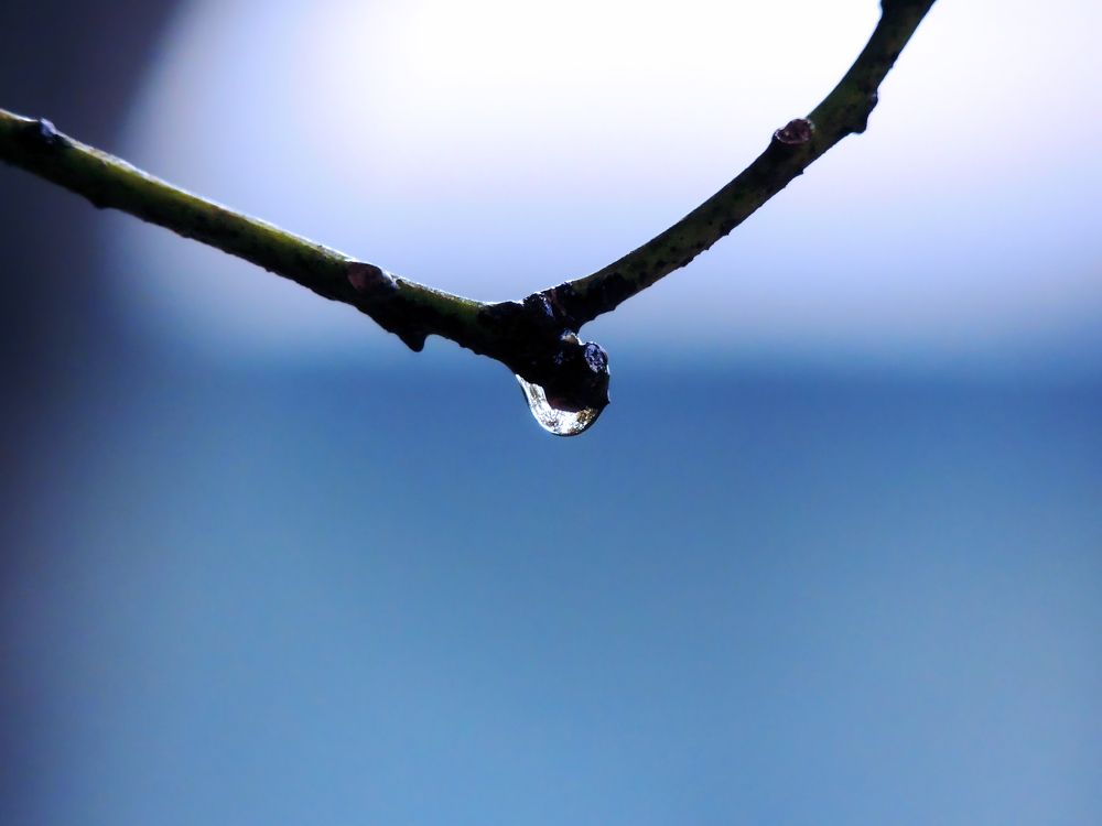 Photograph by Vimal Ram S