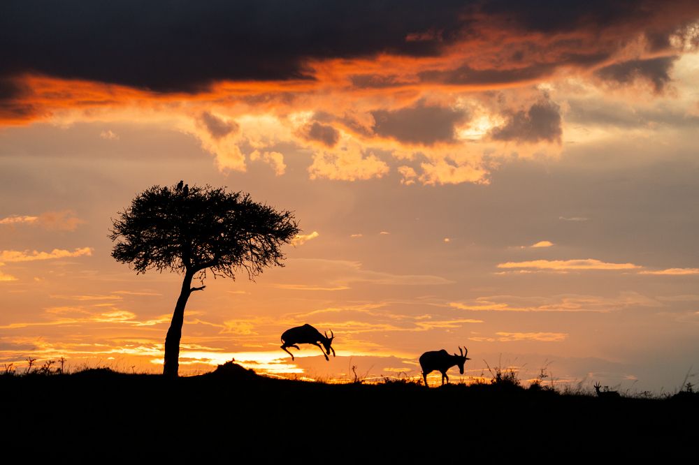 Photograph by Akshita Jain