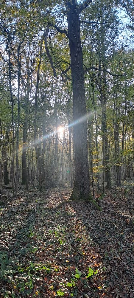 Фотография автора Pertti Palviainen