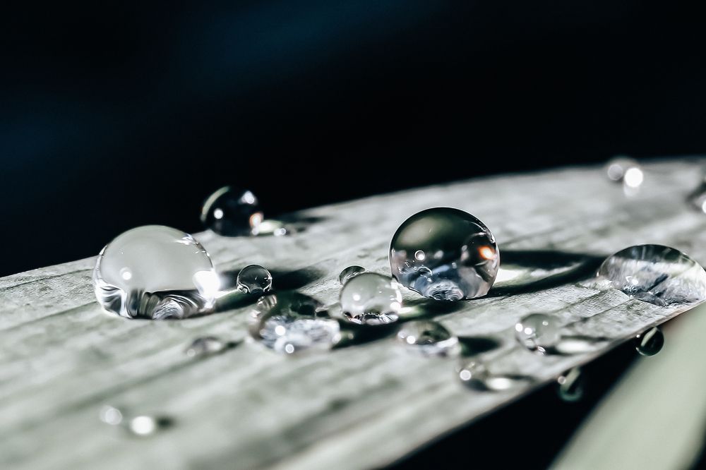 Photograph by Евгения Гудкова