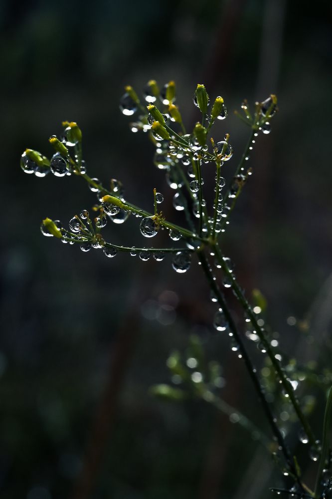 Photograph by Евгения Гудкова