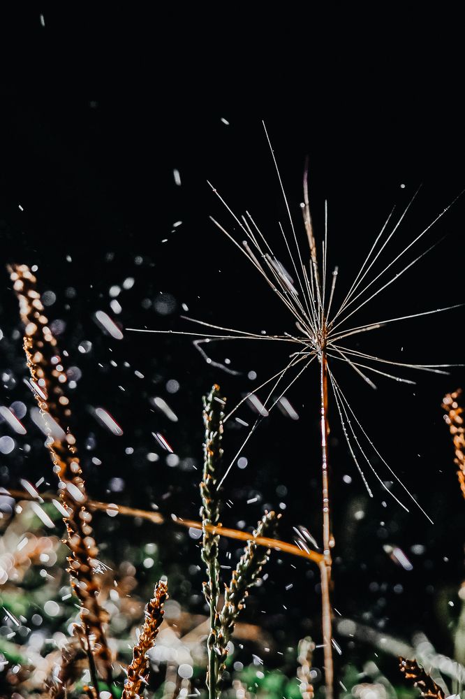 Photograph by Евгения Гудкова