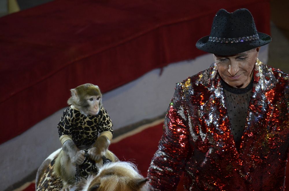 Фотография автора Алексей Власов