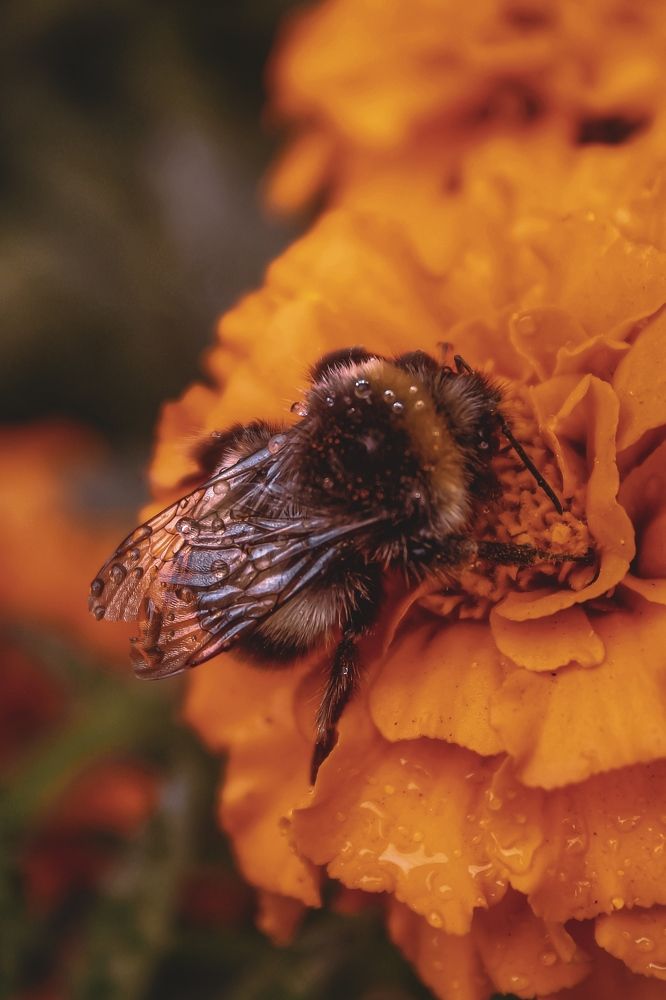 Фотография автора Юрий Серов