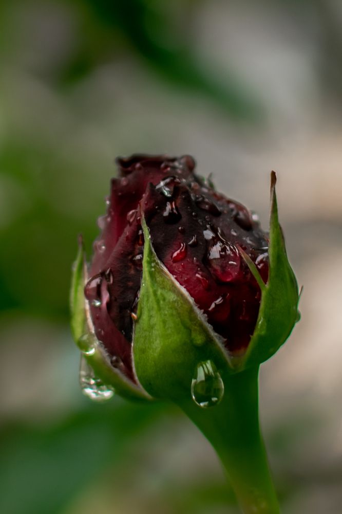 Photograph by Екатерина Абатурова