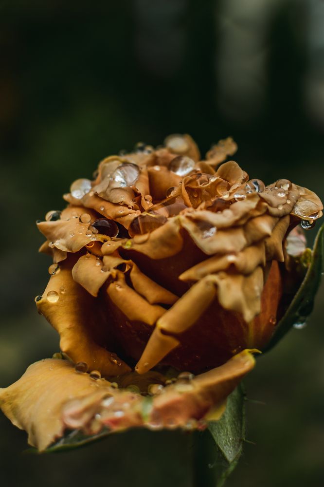 Photograph by Екатерина Абатурова