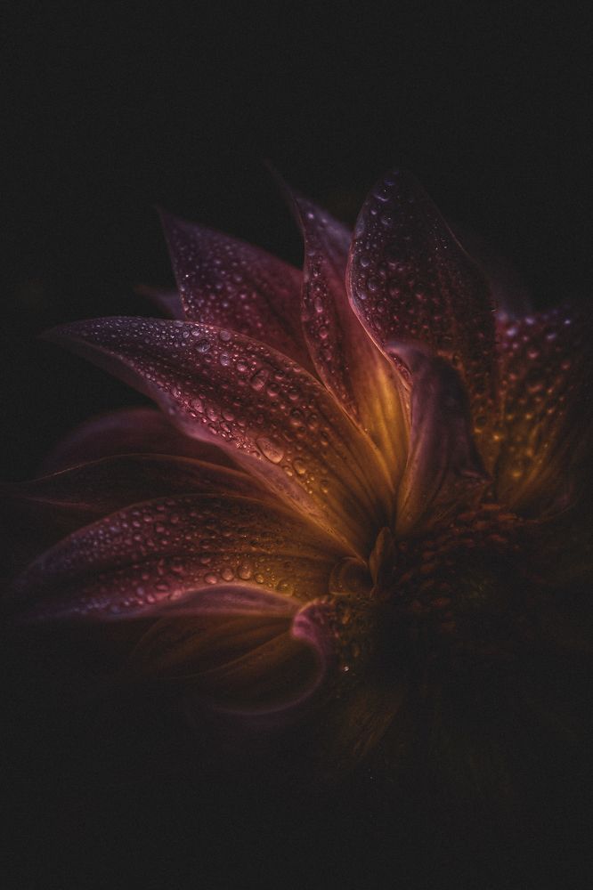 Photograph by Юрий Серов