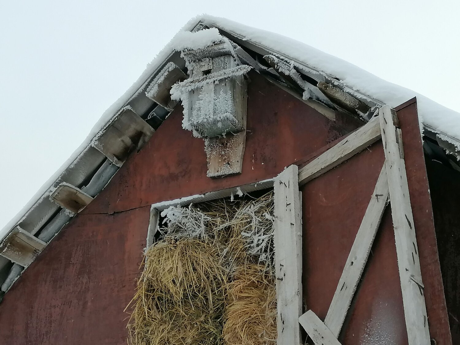 Photo #11485602